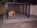 Kutya kennel