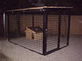 Kutya kennel