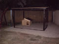 Kutya kennel