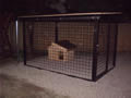 Kutya kennel