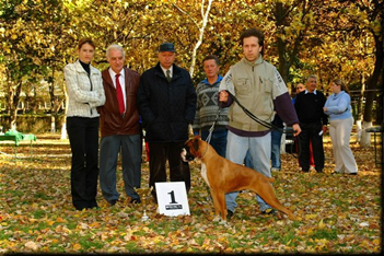 Szent-Radvári Boxer Kennel